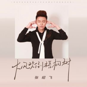 Download track 大风吹倒梧桐树 (深情版伴奏) 张绍飞