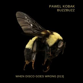 Download track Cloud 6 Pawel Kobak