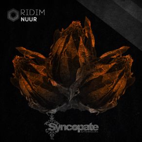 Download track Ridim (Original Mix) Nuur