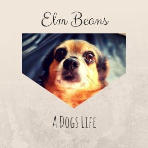 Download track Side Winder Elm Beans