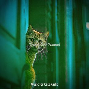 Download track Carefree (Cats) Music For Cats RadioThe Cats