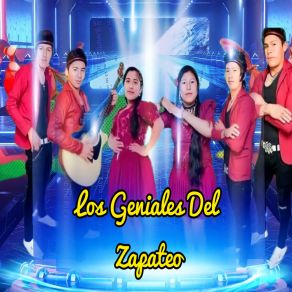 Download track Vida Solitario Los Geniales Del Zapateo