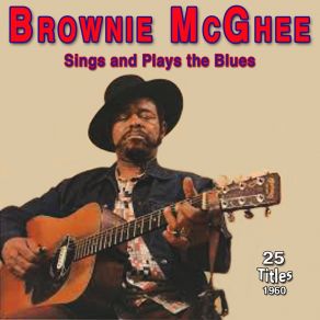 Download track So Much Trouble Brownie McGhee