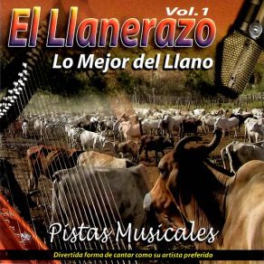 Download track Fiesta En Elorza Super Tamarindo All Stars