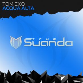 Download track Acqua Alta (Original Mix) Tom Exo