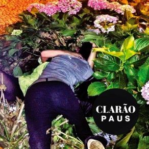 Download track Negro Paus