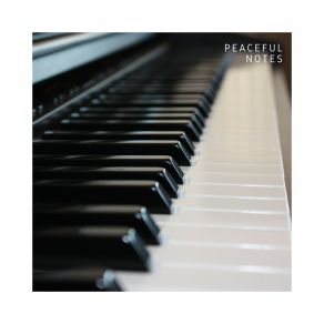 Download track Ambient Piano Relaxing Piano