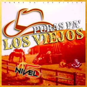 Download track Clavel De Primavera Nivel 5