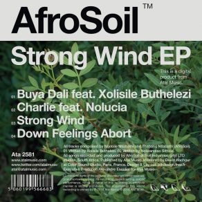 Download track Strong Wind AfroSoil