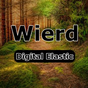 Download track Lo-Fi Wierd