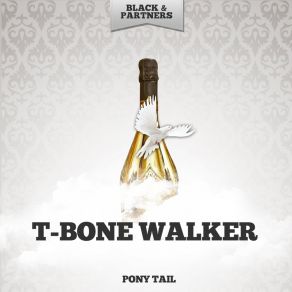 Download track Got No Use For You T - Bone Walker