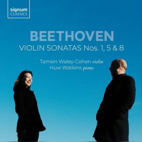 Download track 04. Violin Sonata No. 5 In F Major, Op. 24 Spring I. Allegro Ludwig Van Beethoven