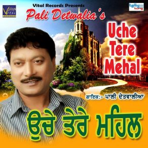 Download track Roop Diye Raniye Pali Detwalia