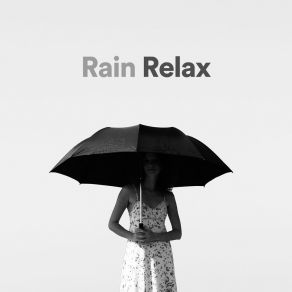 Download track Gentle Raindrops, Pt. 9 Relaxing Rain
