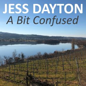 Download track Adjusting To The Change Jess Dayton