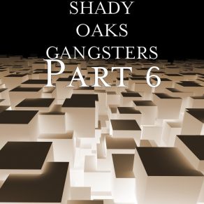 Download track Can I Live My Life SHADY OAKS GANGSTERS