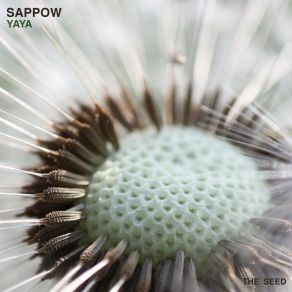 Download track 8 O'clock Sappow