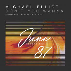 Download track Don't You Wanna (I-Vision Remix) Michael Elliot