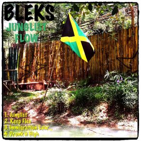 Download track Junglist Bleks