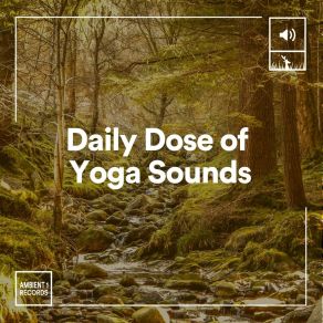 Download track Daily Dose Of Yoga Sounds, Pt. 16 Healing Yoga Meditation Music Consort