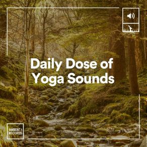 Download track Daily Dose Of Yoga Sounds, Pt. 20 Healing Yoga Meditation Music Consort