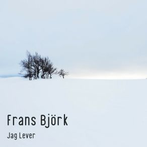 Download track Det Blir Aldrig Bra Frans Björk