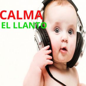 Download track Bebé Animado Calmando Llanto De Bebe