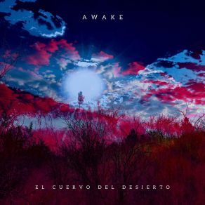 Download track Tonight El Cuervo Del Desierto