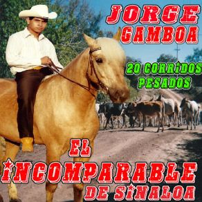 Download track El Indio Zatarin Jorge Gamboa El Incomparable De Sinaloa