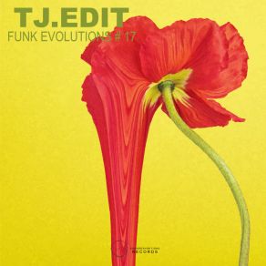 Download track Funk Evolutions 17 TJ Edit