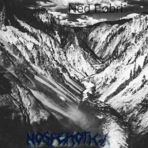 Download track Ned Nosferotica