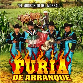 Download track Soy De Oaxaca Furia De Arranque