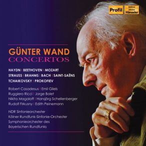 Download track Serenade No. 1 In D Major, Op. 11 VI. Rondo. Allegro Gunter Wand