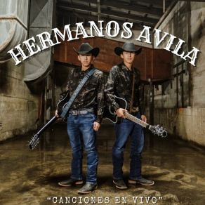 Download track La Feria De Las Flores (En Vivo) Hermanos Avila