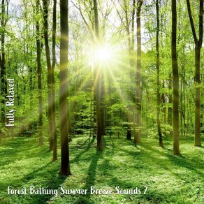 Download track Forest Bathing Summer Breeze Sounds, Pt. 9 Steve Brassel