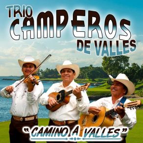 Download track Piquetes De Hormiga Trío Campero De Valles