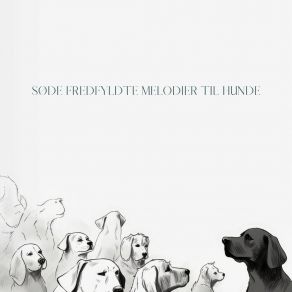 Download track Rolig Canine Havn Hundemusik