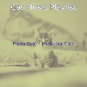 Download track Dashing Solo Piano Jazz - Vibe For Cats Cat Music Playlist