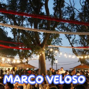 Download track Xau Xau Marco Veloso