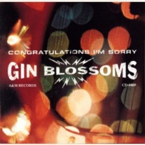 Download track Perfectly Still Gin Blossoms