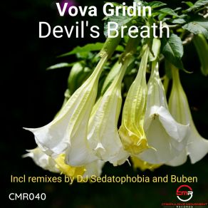 Download track Devil's Breath (Buben's Deep House Remix) Vova GridinBuben