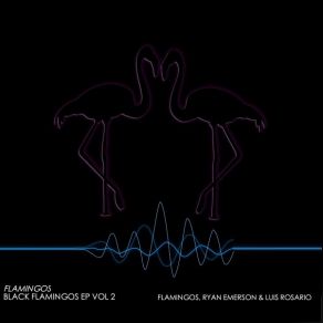 Download track The Experiment (Ryan Emerson Edit) The Flamingos