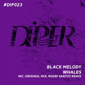 Download track Whales (Original Mix) Melody Black