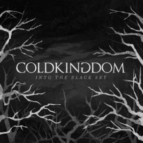 Download track Invisible Cold Kingdom