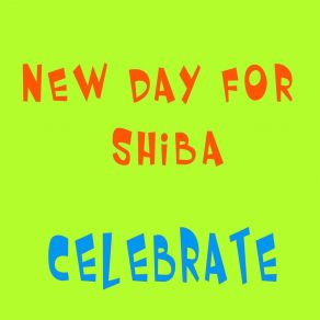 Download track Movin Groovin New Day For Shiba