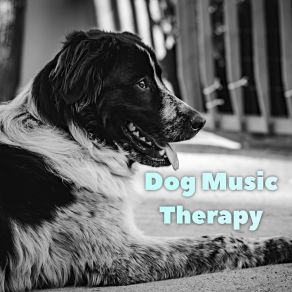 Download track Reiki Dog Calming Music