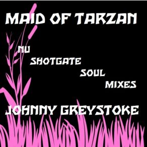 Download track Maid Of Tarzan (Original Tarzan App Mix) Johnny Greystoke