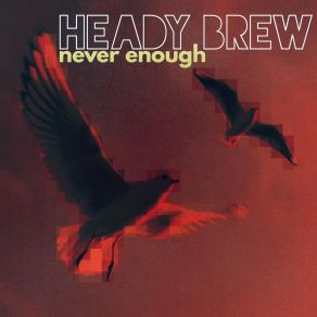 Download track Never Enough Heady Brew