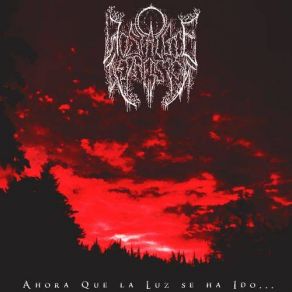 Download track Ecos De Un Espiritu Negro Nostalgie Depression