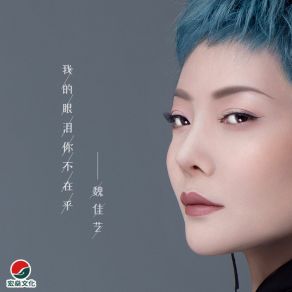 Download track 我的眼泪你不在乎 (辉煌版) Banan